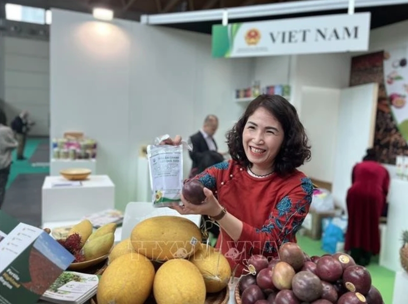 Vietnam – Italy trade cooperation promises bright prospects in 2025